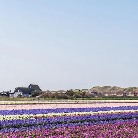 Duinland 251 - Park Duinland Sint Maartenszee * Sint Maartensvlotbrug